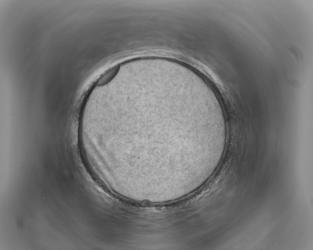 X0000112101504200909011114