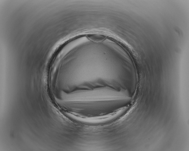 X0000112101506200909011114