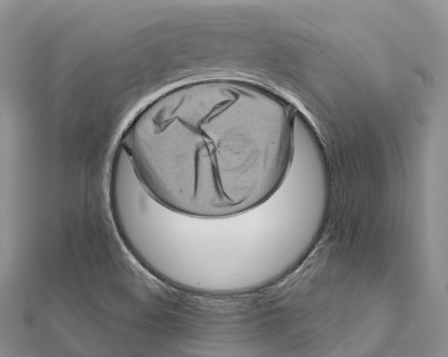 X0000112101508200909011114