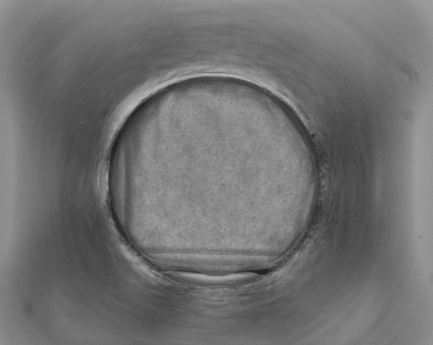 X0000112101511200909011114