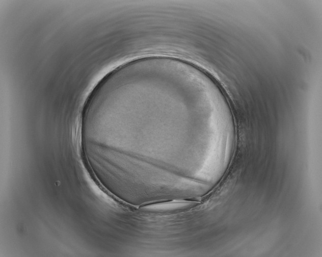 X0000112101515200909011114
