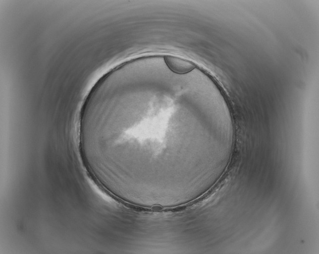 X0000112101519200909011114