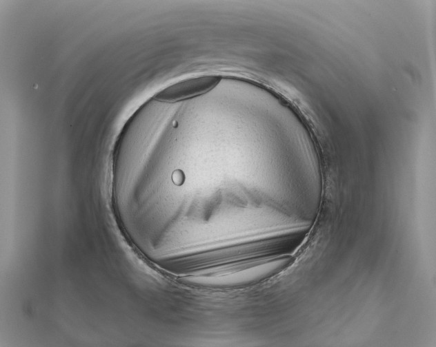 X0000112101520200909011114