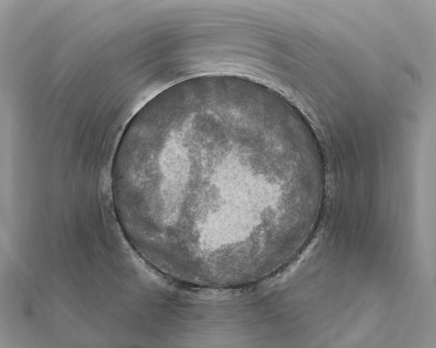 X0000112101521200909011114