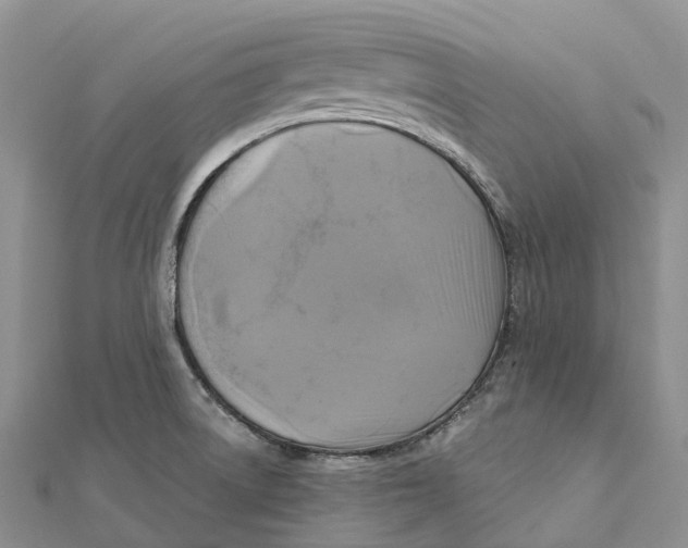 X0000112101522200909011114