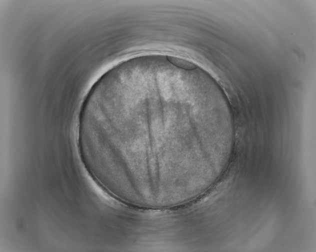 X0000112101523200909011114