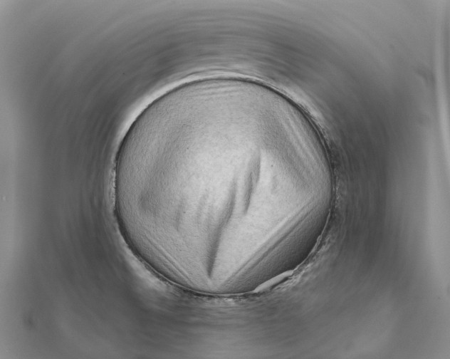 X0000112101524200909011114