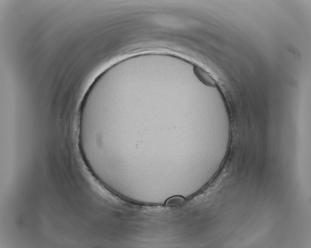 X0000112101526200909011114
