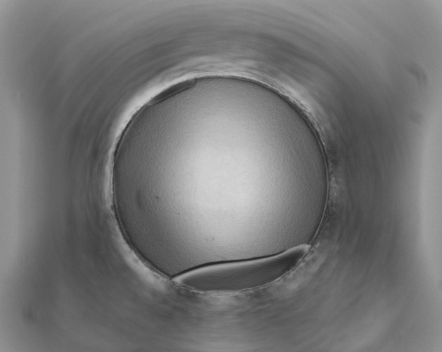 X0000112101528200909011114