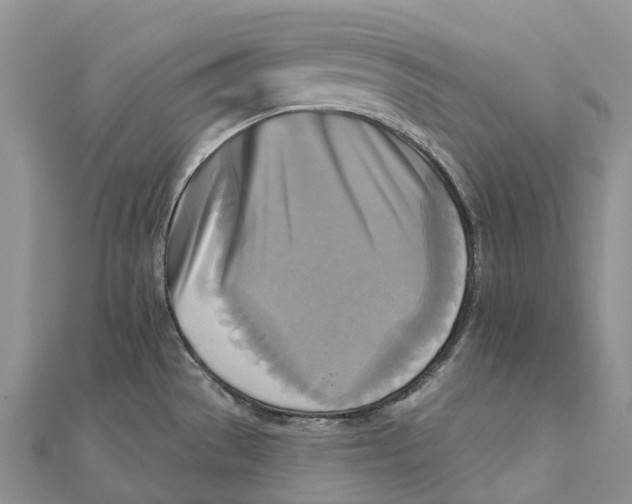 X0000112101529200909011114