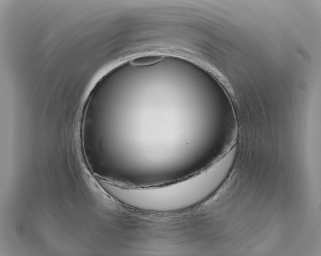 X0000112101530200909011114