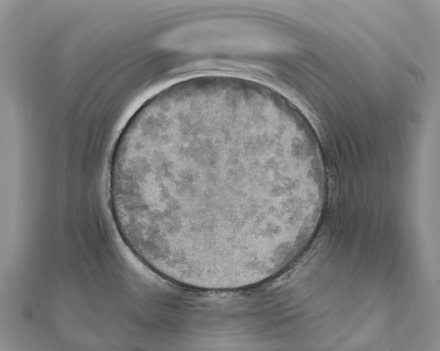 X0000112101531200909011114