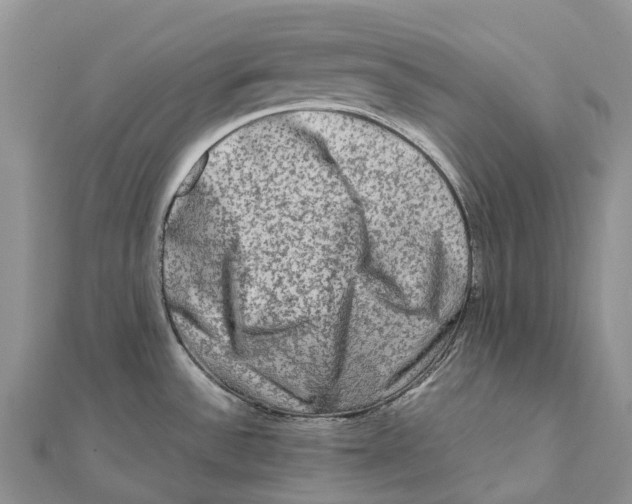 X0000112101532200909011114