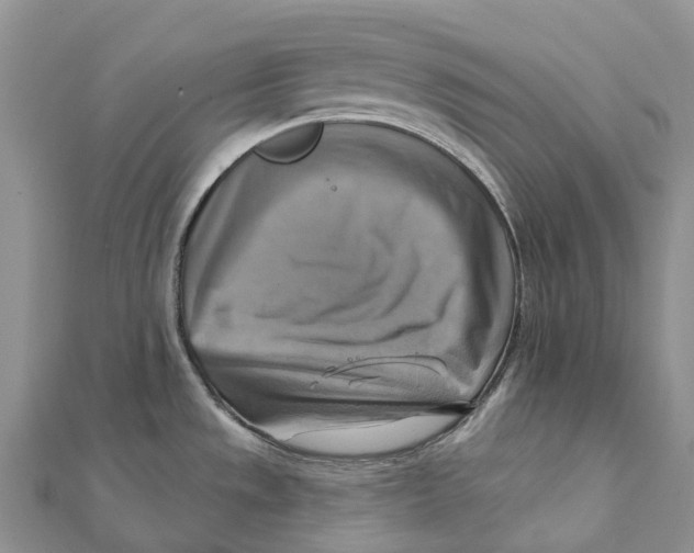 X0000112101533200909011114