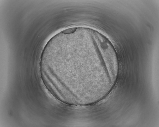X0000112101534200909011114
