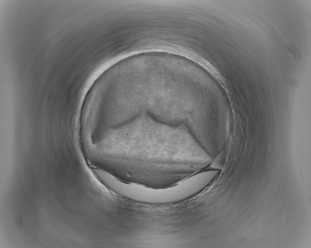 X0000112101536200909011114