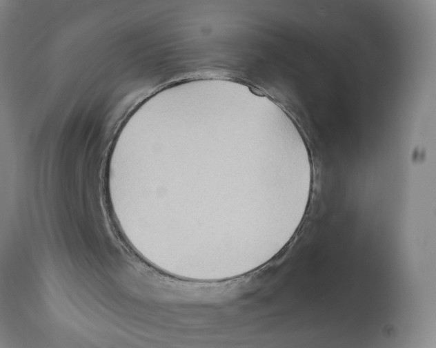 X0000112100001200909151211