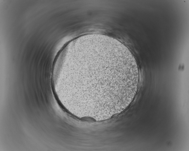 X0000112100003200909151211