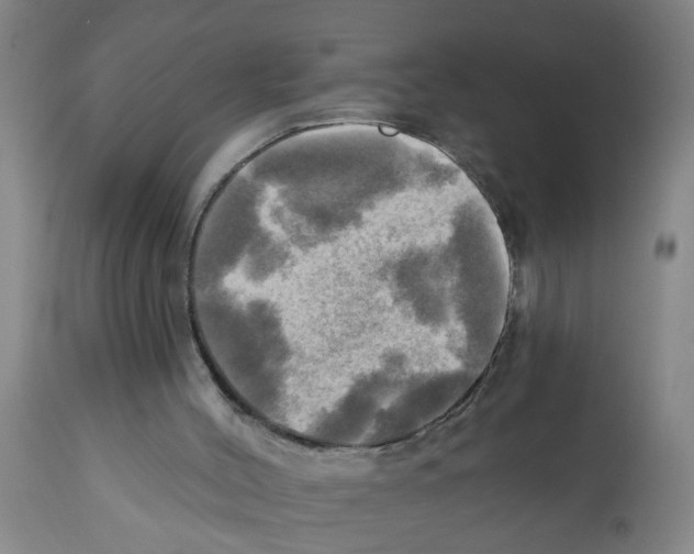 X0000112100004200909151211