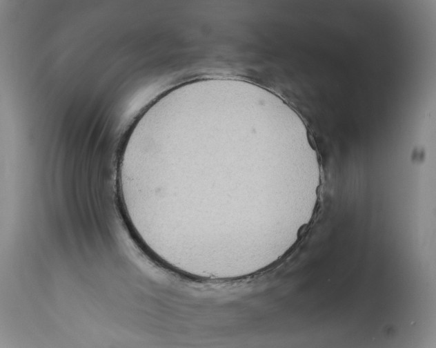 X0000112100005200909151211