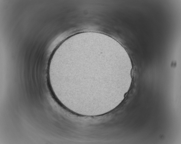 X0000112100007200909151211