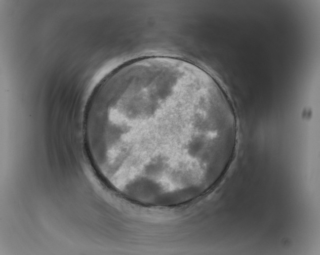 X0000112100008200909151211