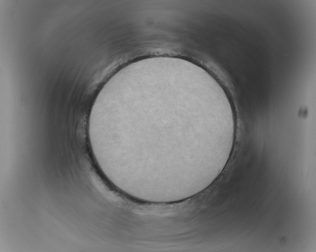 X0000112100009200909151211