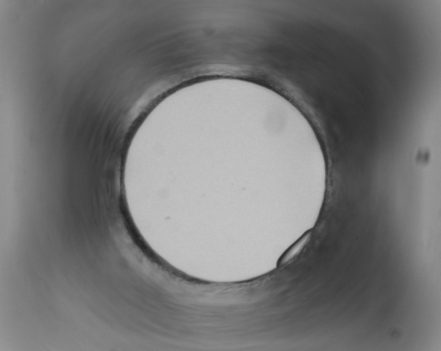 X0000112100011200909151211
