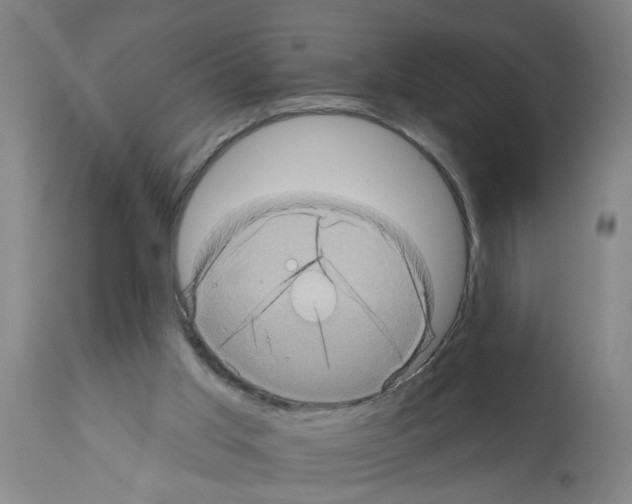 X0000112100013200909151211
