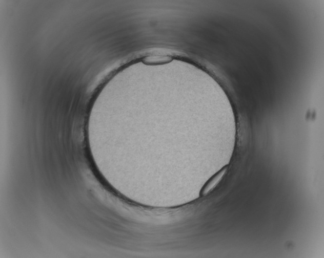 X0000112100015200909151211