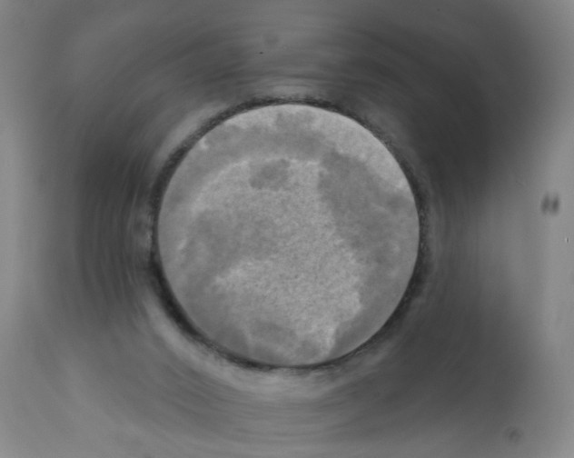 X0000112100016200909151211