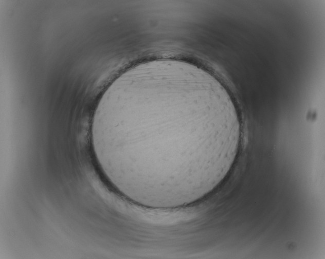 X0000112100018200909151211