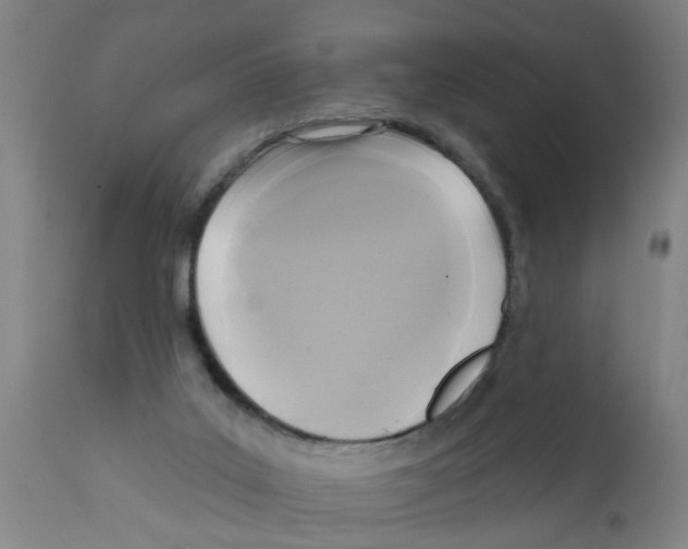 X0000112100019200909151211