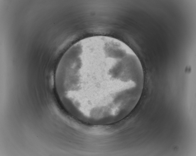 X0000112100020200909151211