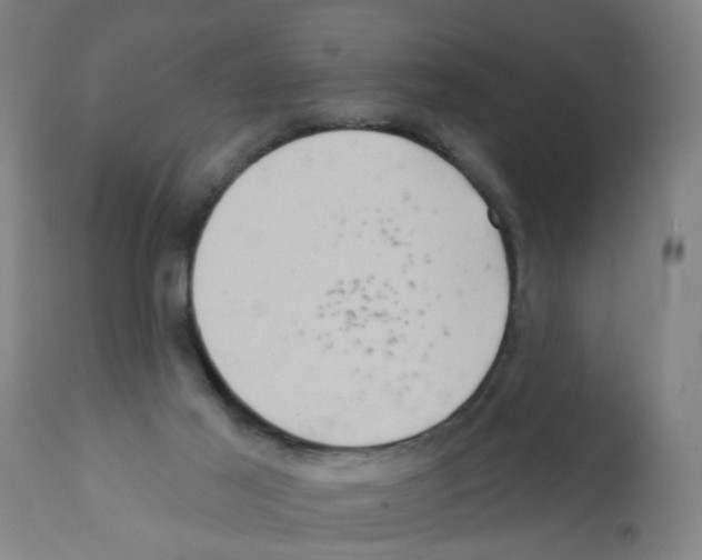 X0000112100021200909151211