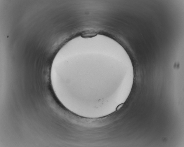 X0000112100023200909151211
