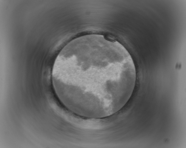 X0000112100024200909151211