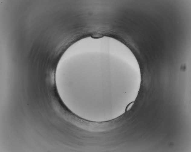 X0000112100027200909151211