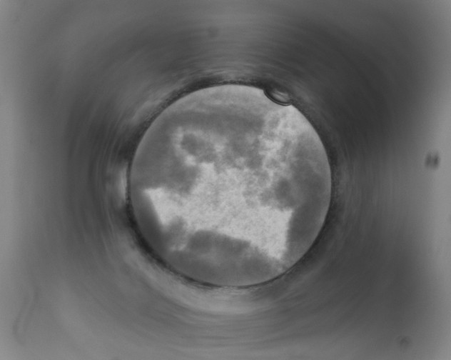 X0000112100028200909151211