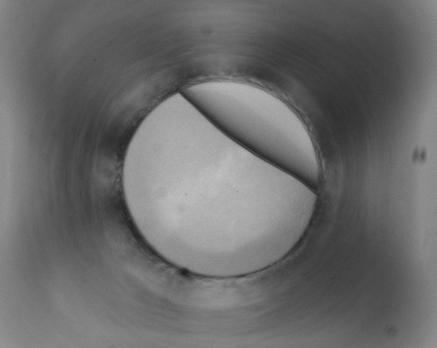 X0000112100029200909151211