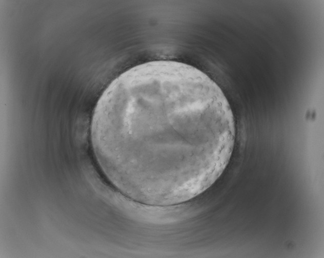 X0000112100030200909151211
