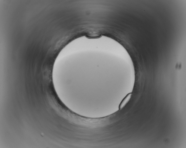 X0000112100031200909151211