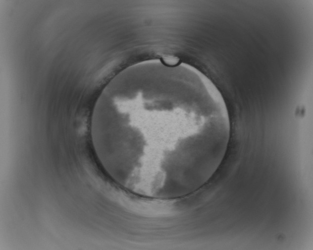 X0000112100032200909151211