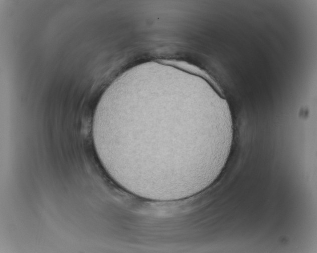 X0000112100033200909151211