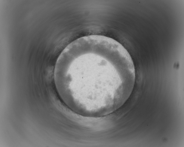 X0000112100034200909151211
