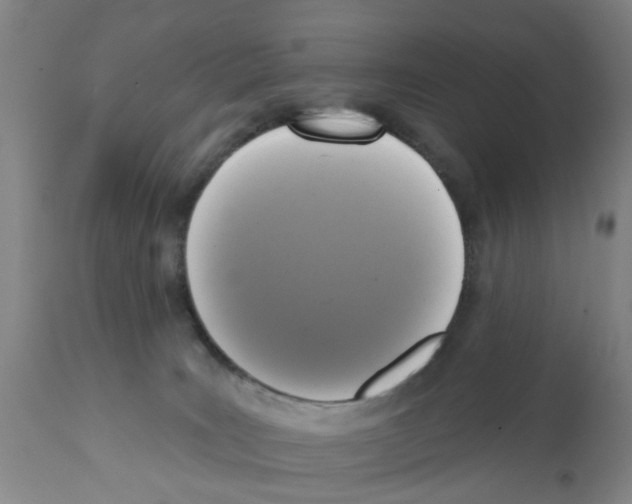X0000112100035200909151211