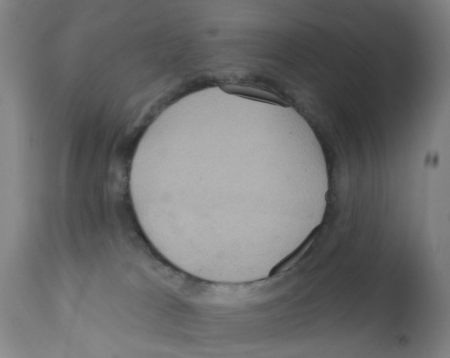 X0000112100037200909151211