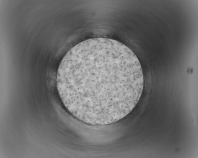 X0000112100038200909151211