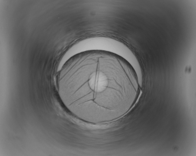 X0000112100039200909151211