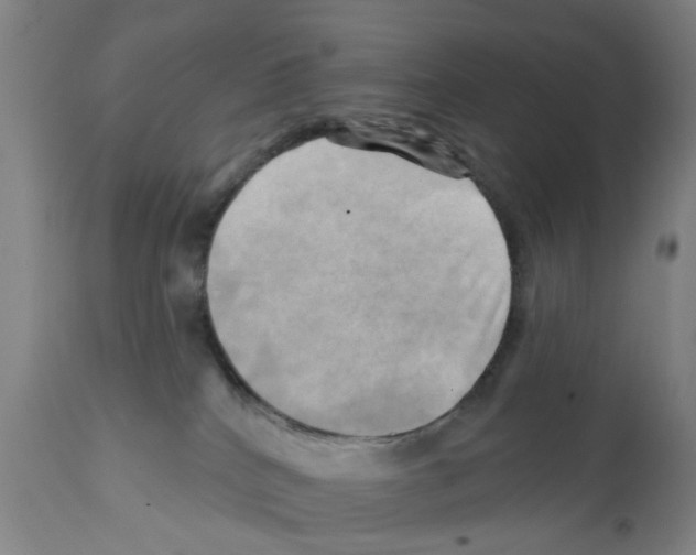 X0000112100040200909151211